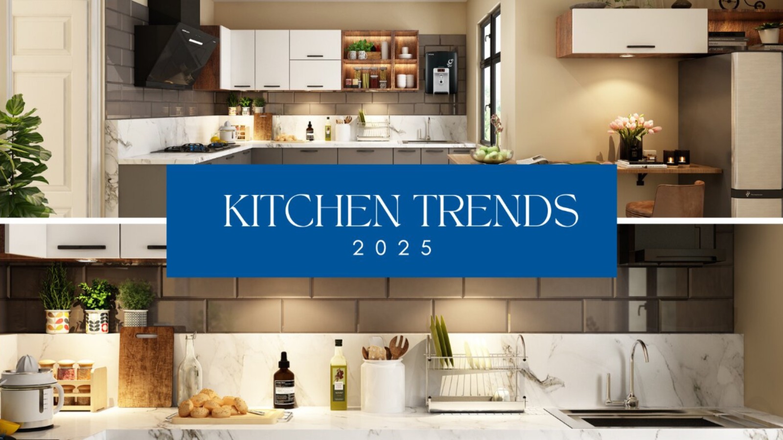 kutchina Lorita Premium